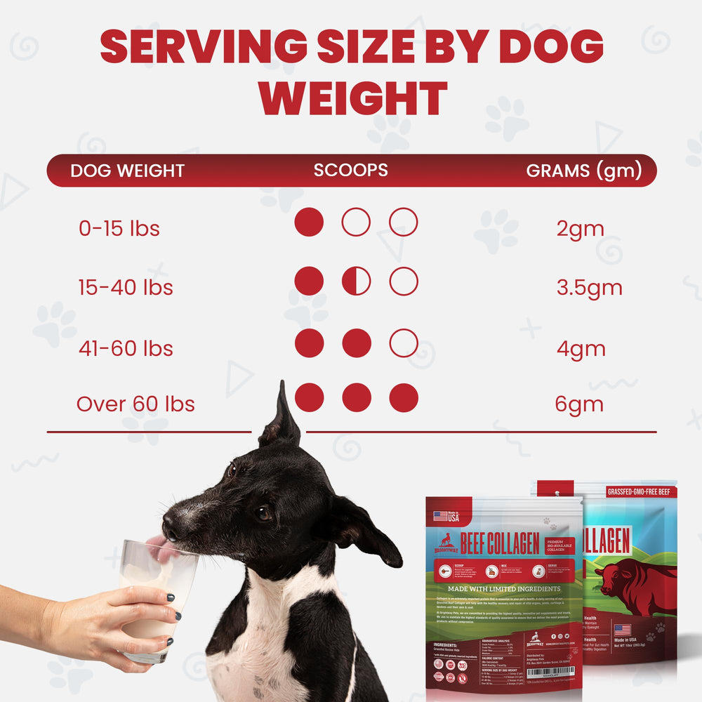 Brightway Pets paquet prêt à l'expédition soulignant fiabilité de la marque
