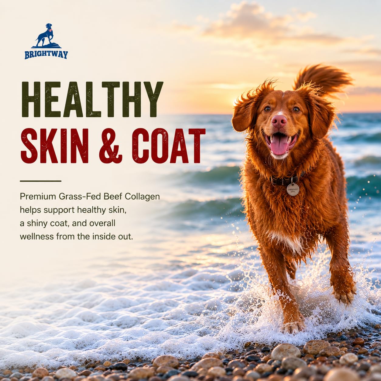 Brightway Pets poudre mélangée à nourriture soutenant peau et pelage