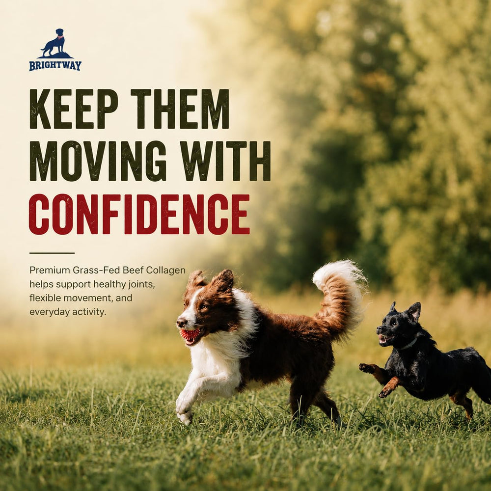 Brightway Pets comparaison de portion montrant durée de plus de 114 doses