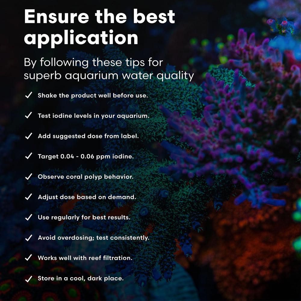 Brightwell Aquatics Iodion bouteille tenue en main pour visualiser l'échelle