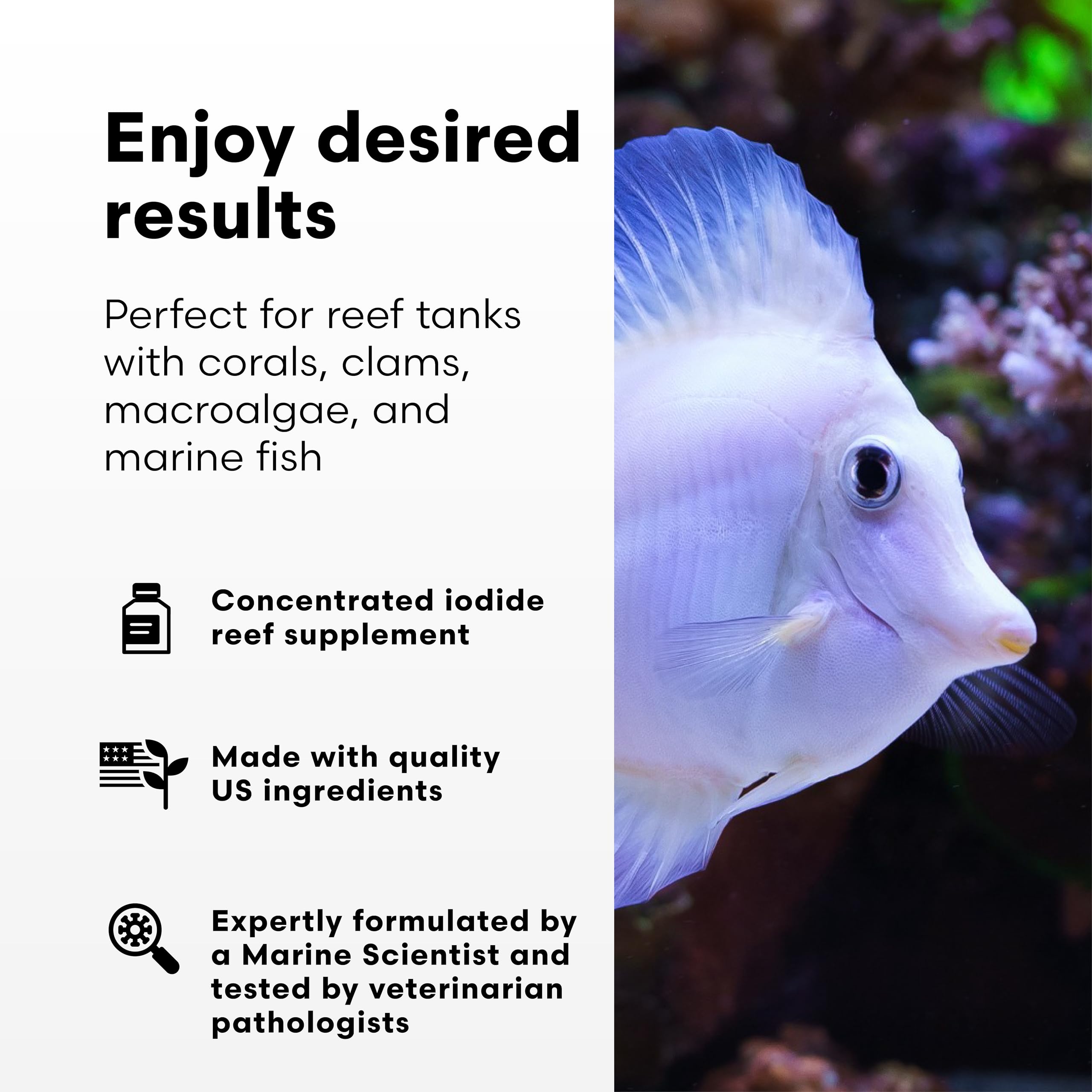 Brightwell Aquatics Iodion étiquette en gros plan montrant les instructions claires