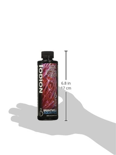 Brightwell Aquatics Iodion installé près d'un bac récifal pour résultat visible