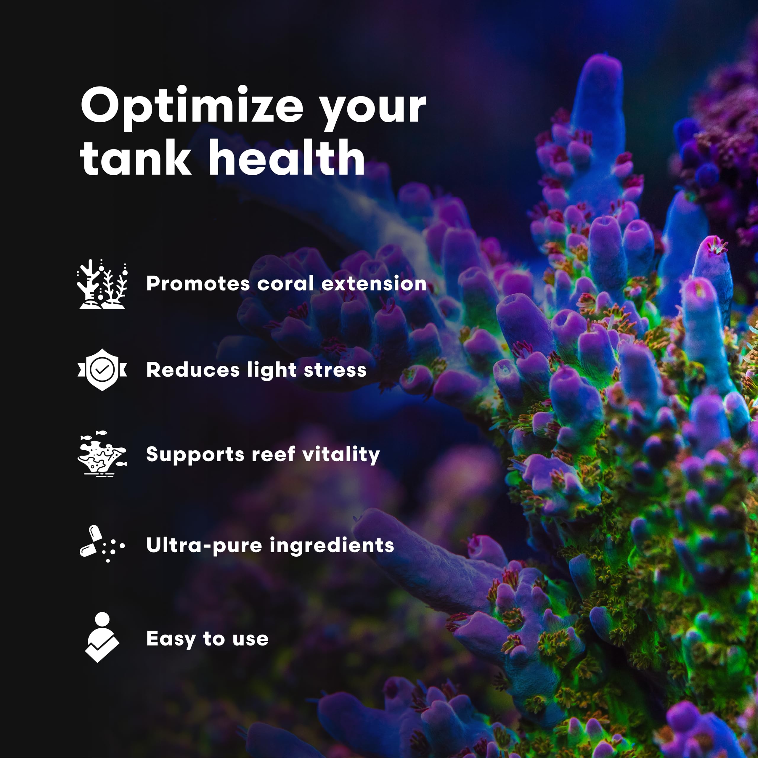 Brightwell Aquatics Iodion application sur aquarium illustrant dosage sécurisé