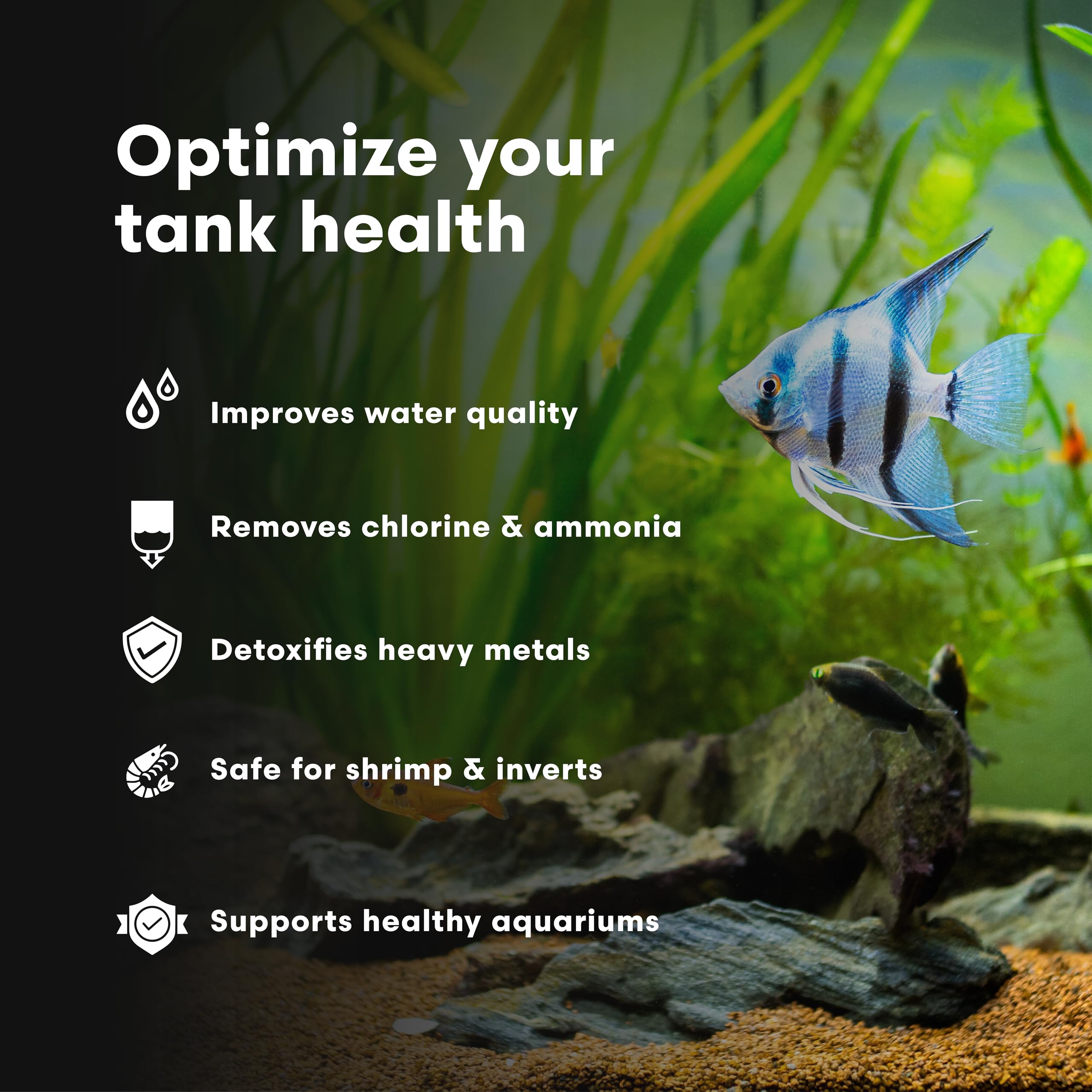 Brightwell Aquatics dosage pendant un changement d'eau, protège les crevettes immédiatement
