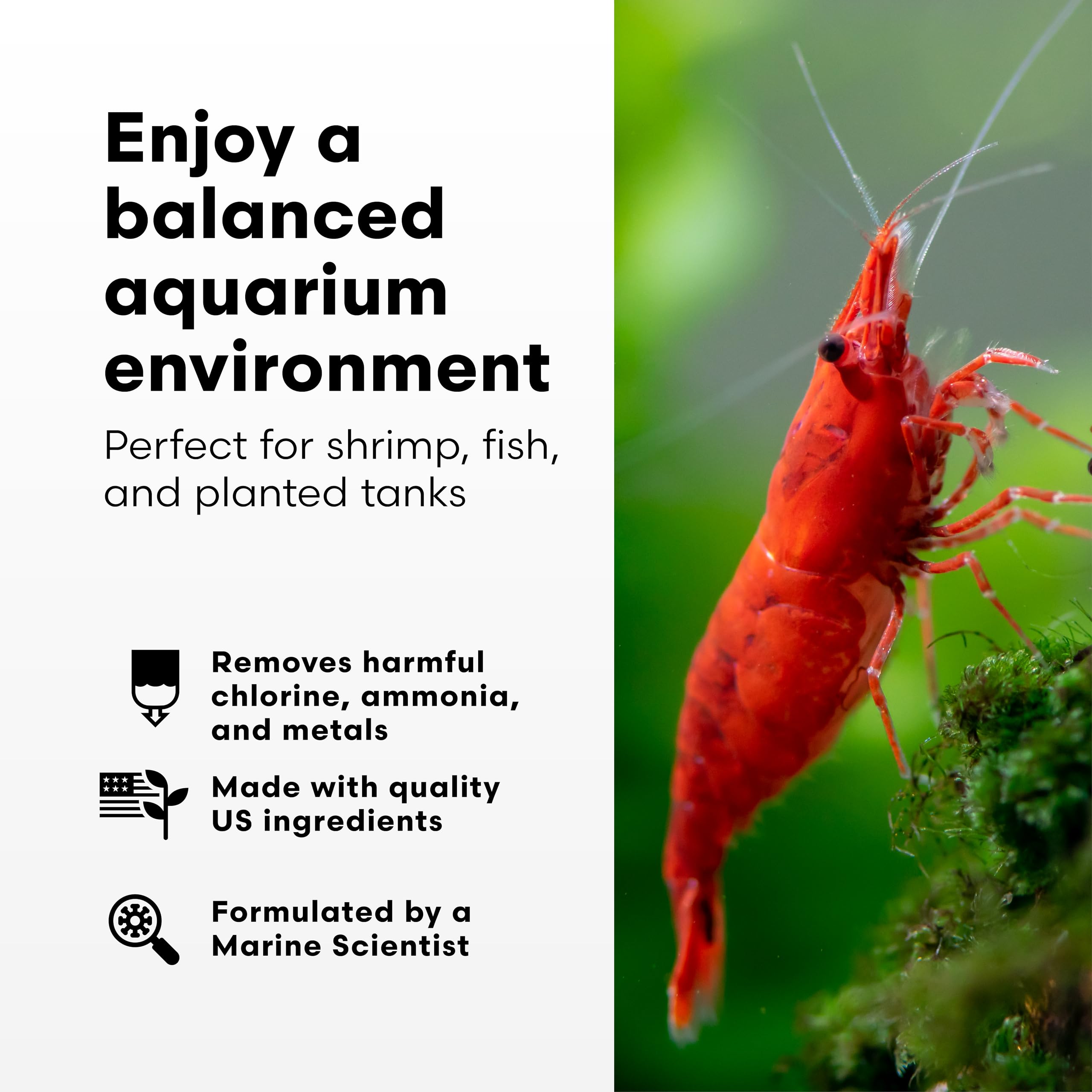 Brightwell Aquatics étiquette détaillée de Shrimp Prep, informations de dosage et composition utiles