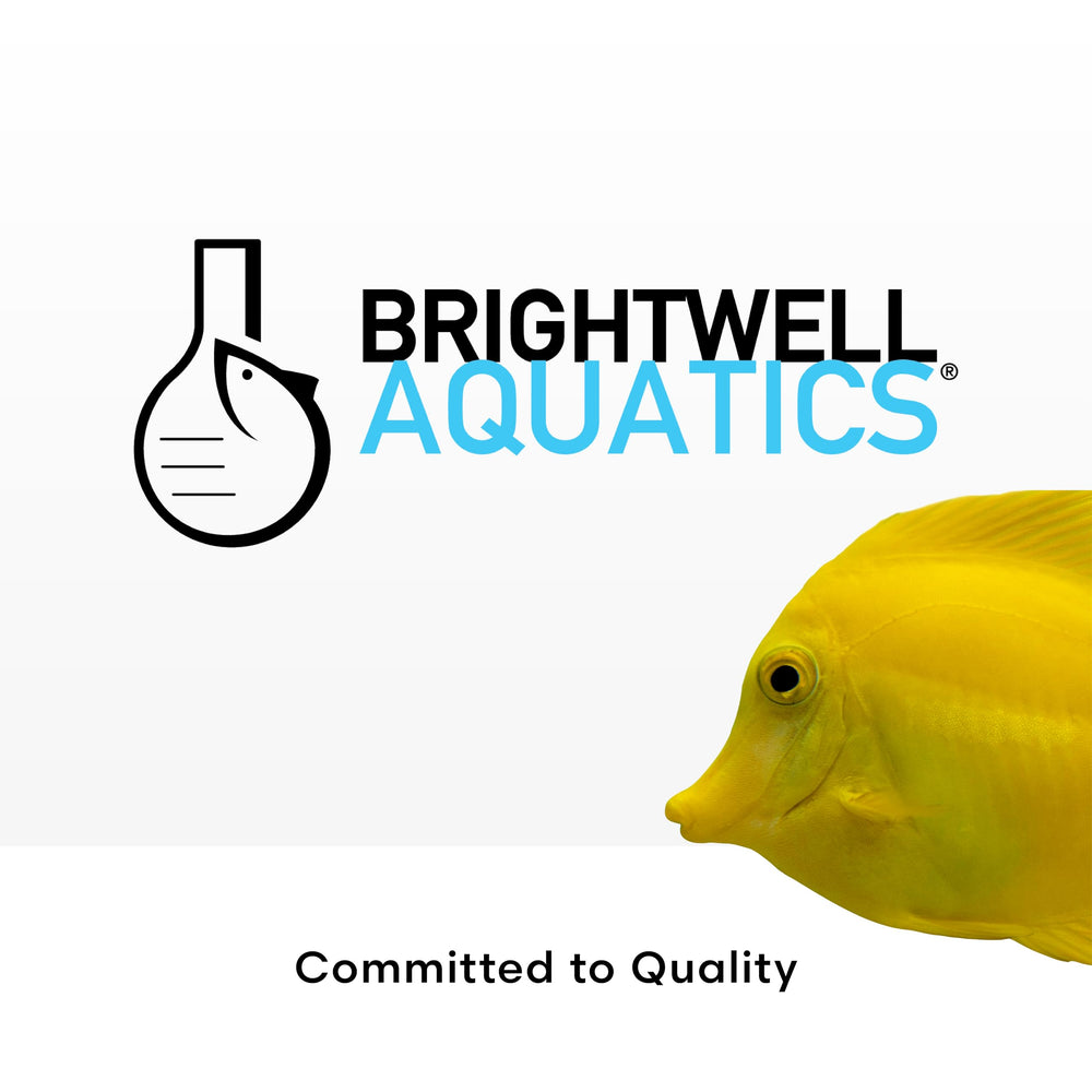 Brightwell Aquatics packaging 'Made in USA' Shrimp Prep, gage de qualité et fiabilité