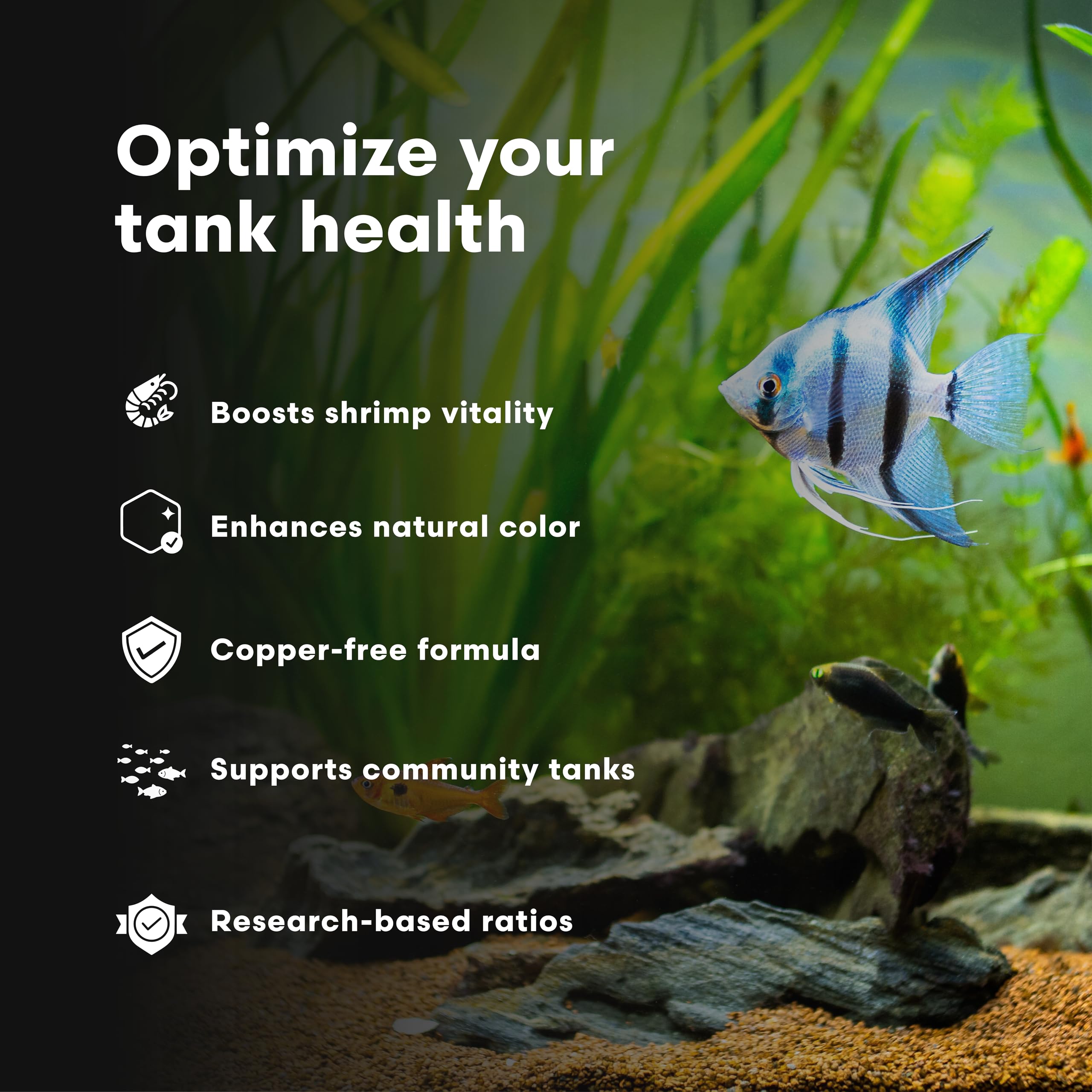 Brightwell Aquatics crabe/crevette au premier plan montrant couleur intensifiée