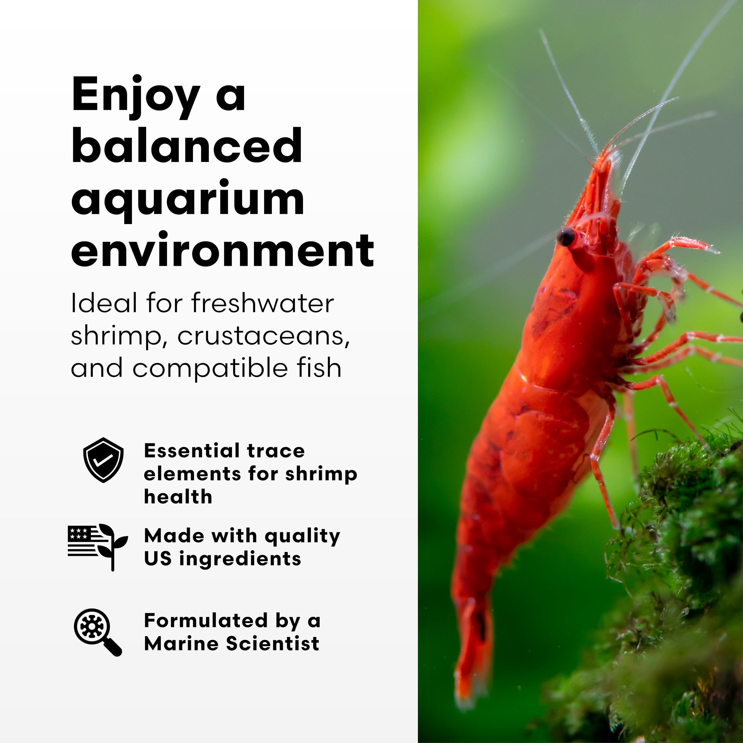 Brightwell Aquatics flacon ShrimpCōde en train d'être dosé pour un ajout précis