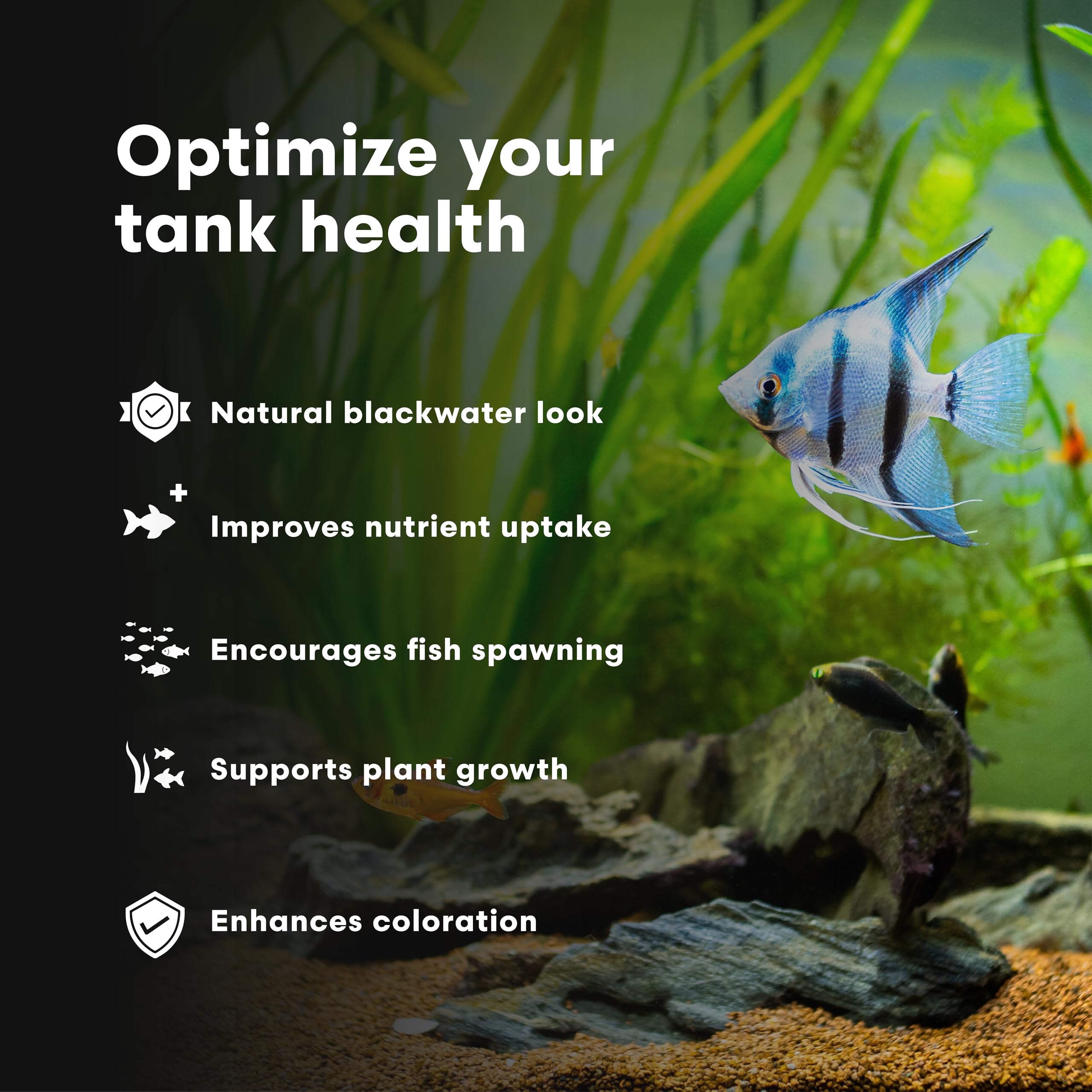Brightwell Aquatics eau légèrement teintée illustrant biotope blackwater naturel