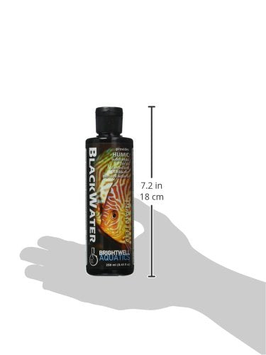 Brightwell Aquatics aquascape lifestyle montrant ambiance naturelle et bien-être faunique
