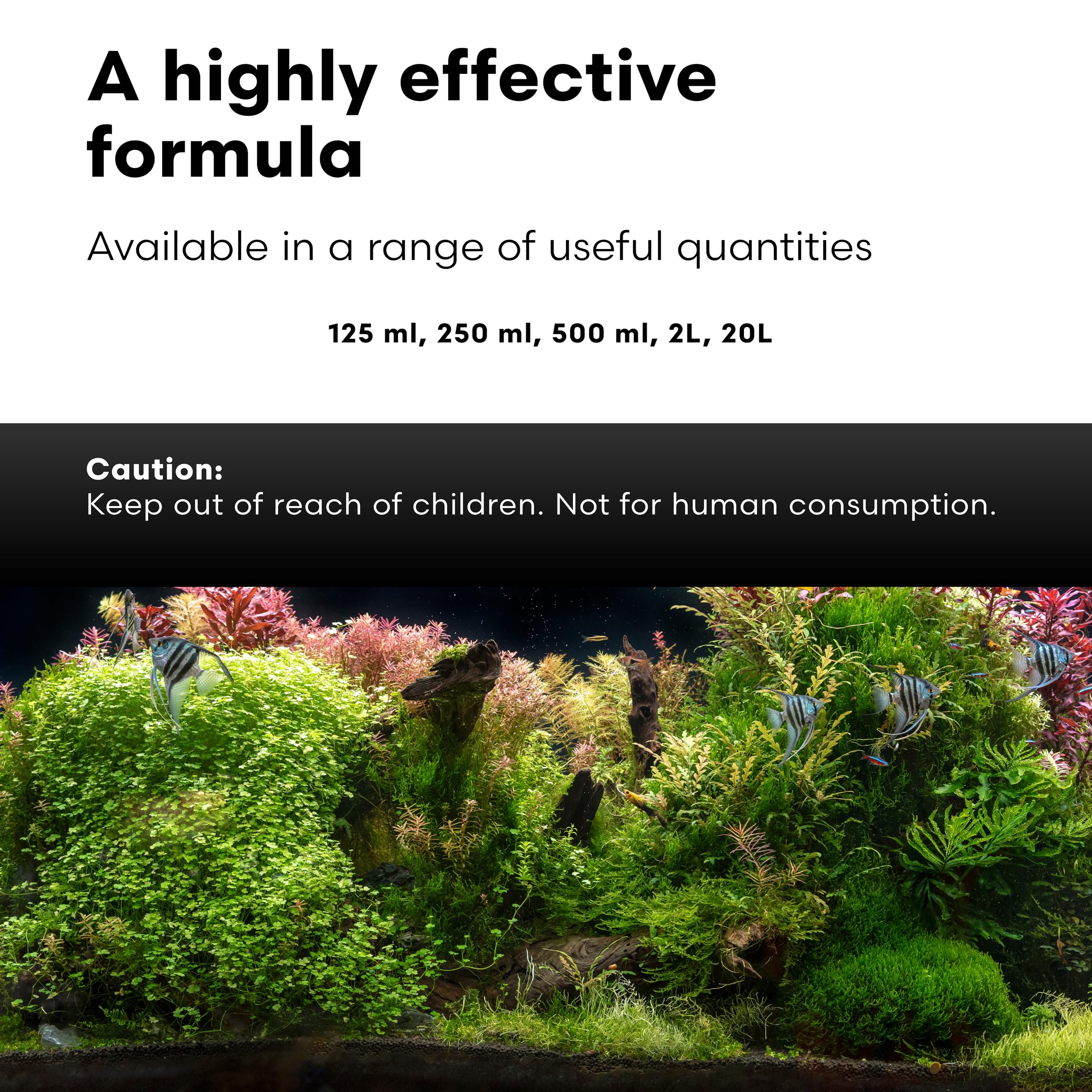 Brightwell Aquatics plantes aquatiques vigoureuses grâce à meilleure disponibilité nutritionnelle