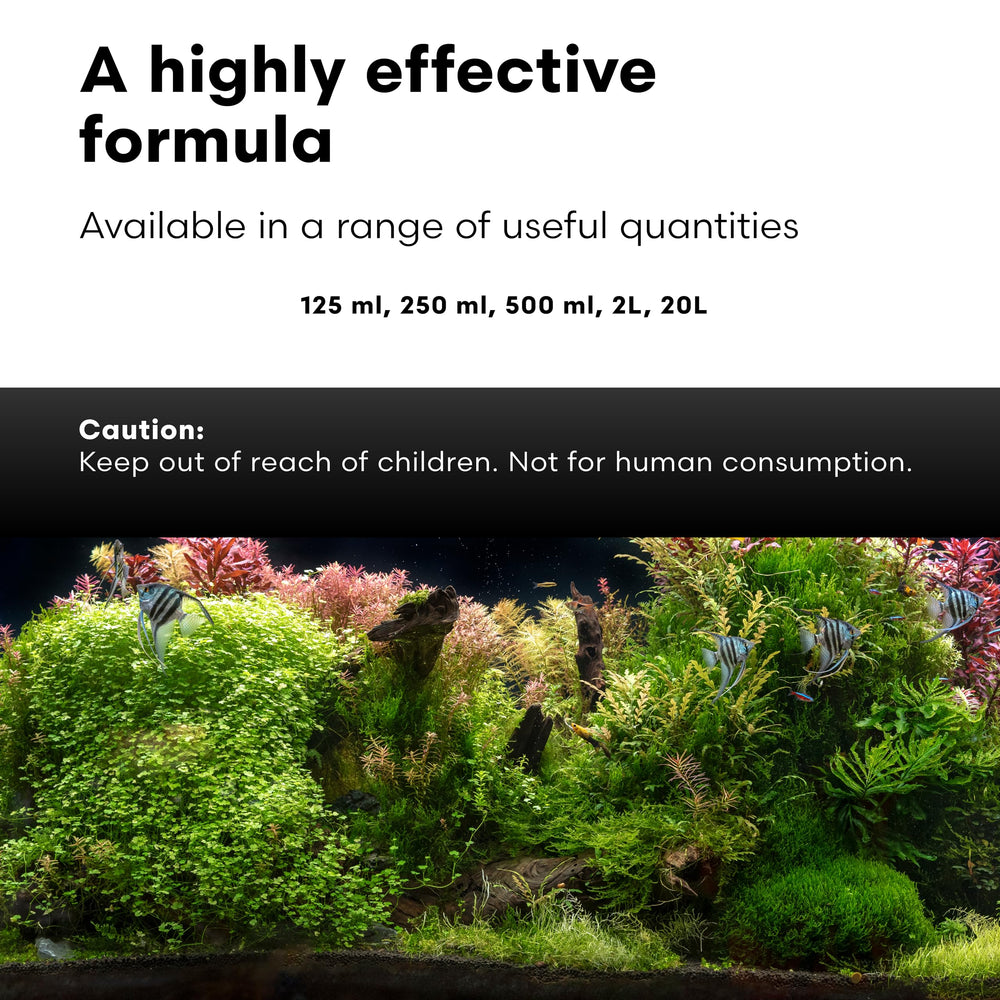 Brightwell Aquatics plantes aquatiques vigoureuses grâce à meilleure disponibilité nutritionnelle