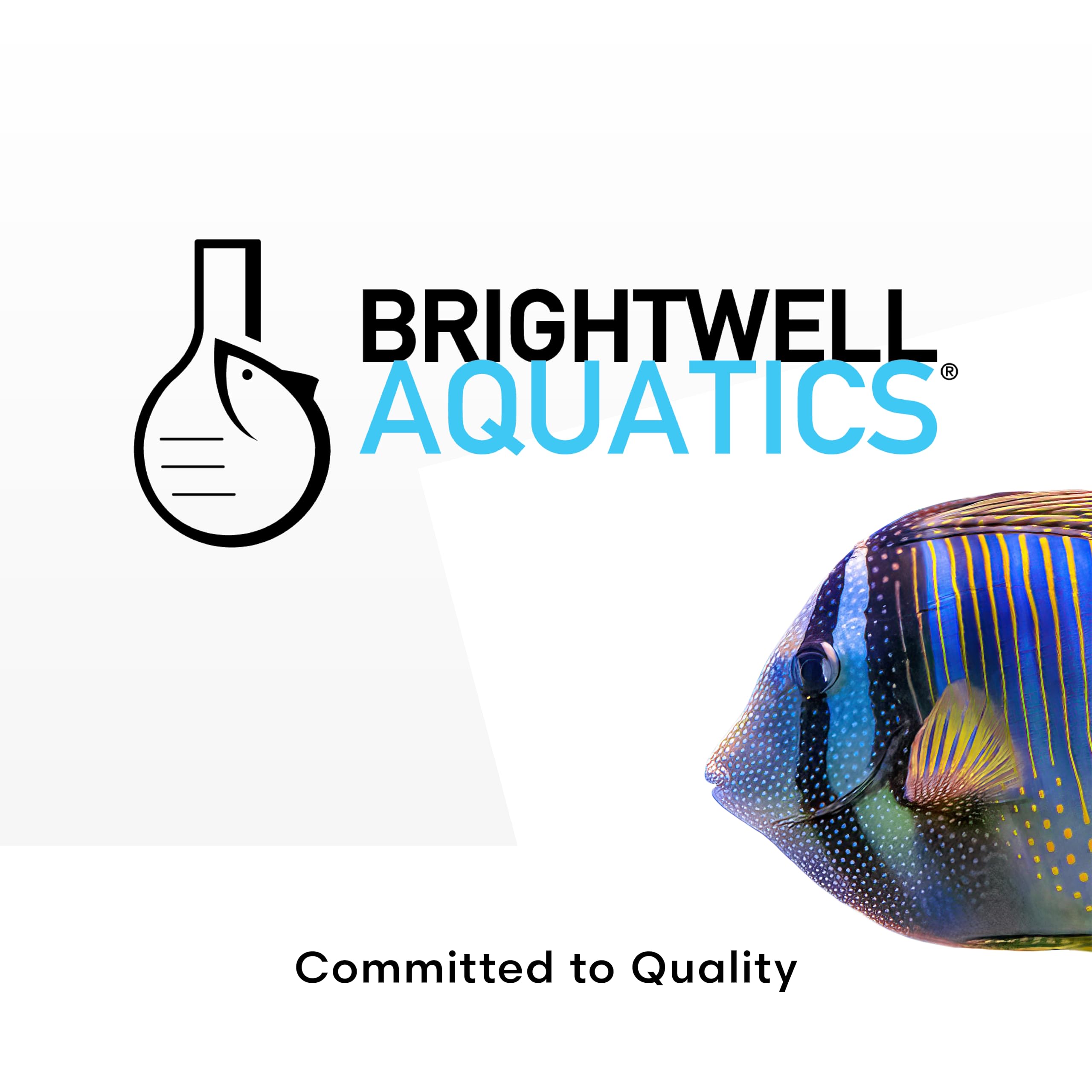 Brightwell Aquatics Calcion à côté d’un objet pour échelle montrant taille et capacité 250ml