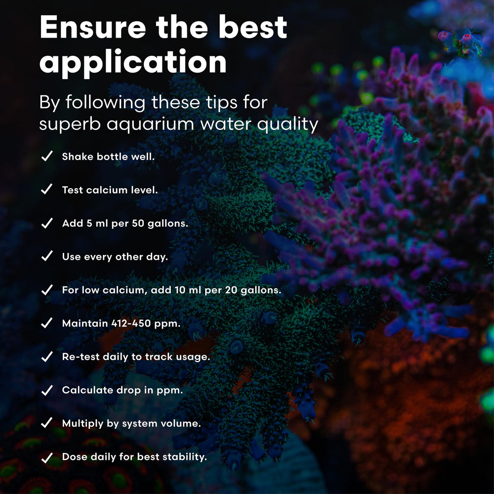 Brightwell Aquatics ajout Calcion dans un aquarium récifal favorisant la croissance corallienne