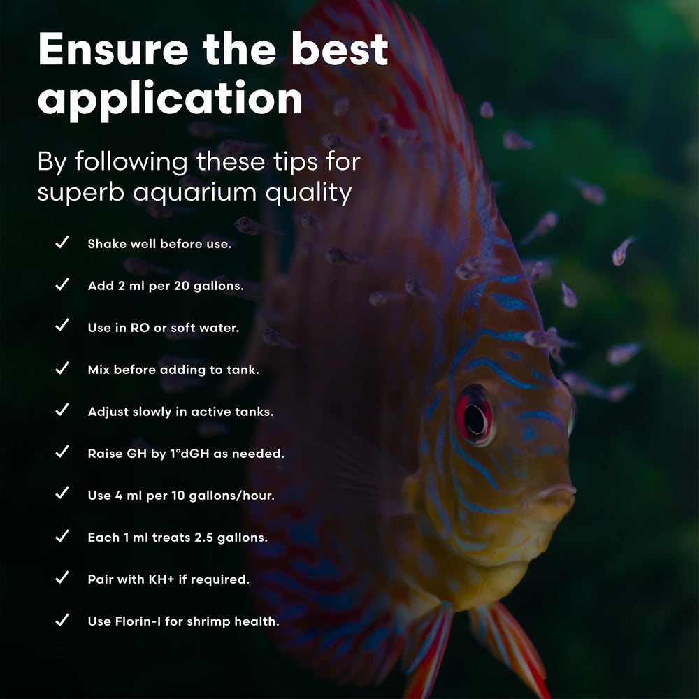 Aquarium planté avec crevettes montrant l'effet de Brightwell Caridina GH+ sur la santé végétale et des invertébrés