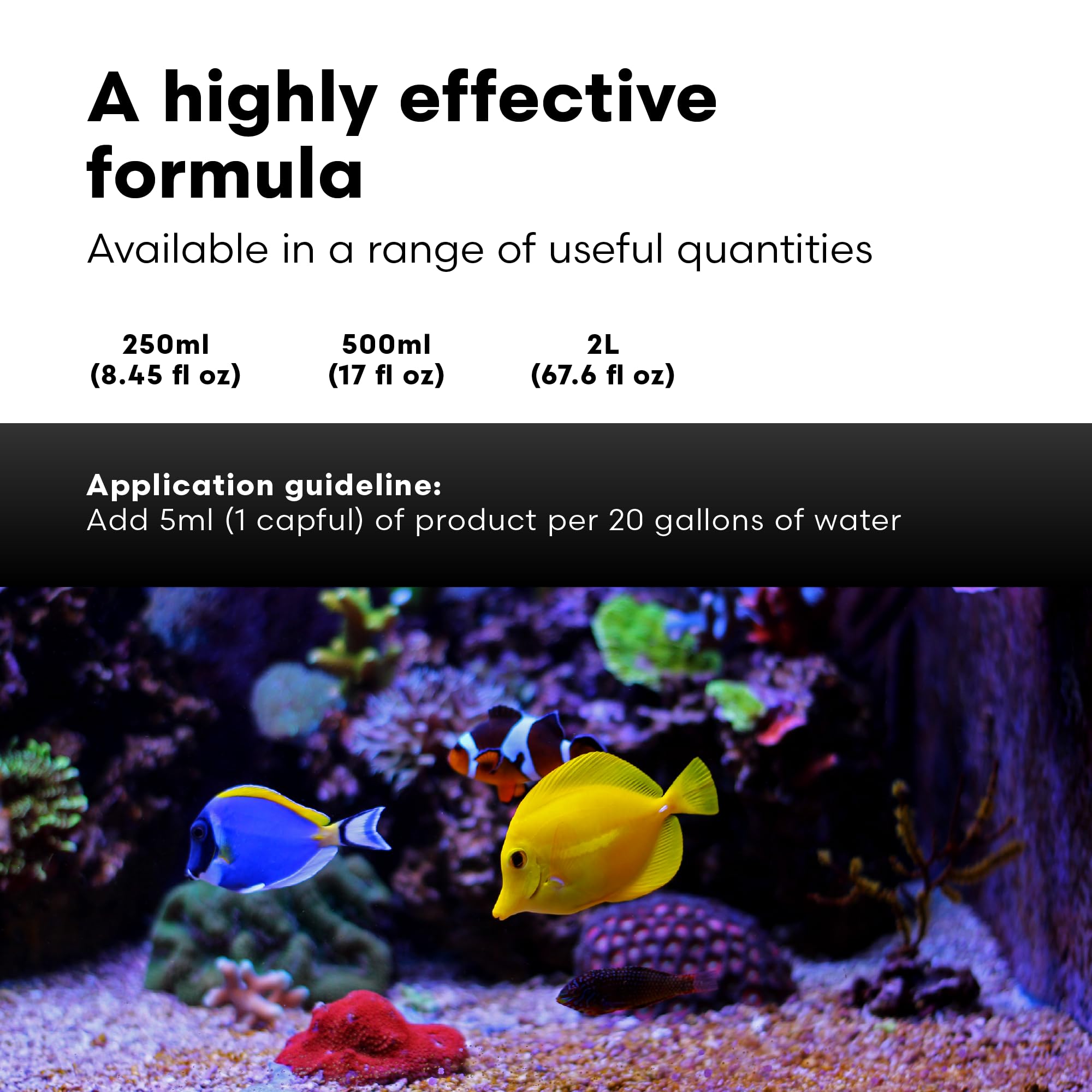 Brightwell Aquatics application ChaetoGro dans refugium favorisant croissance de Chaetomorpha