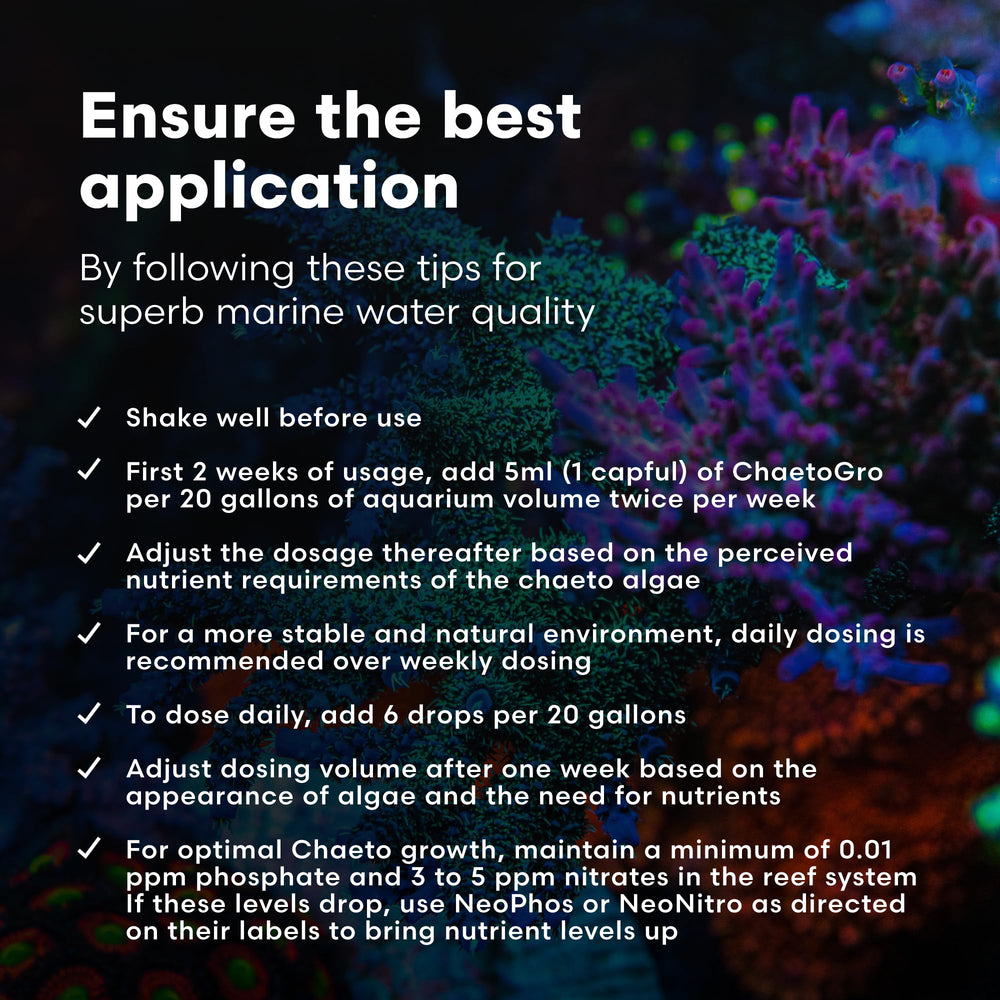 Brightwell Aquatics flacon ChaetoGro à l'échelle dans une main pour évaluer volume