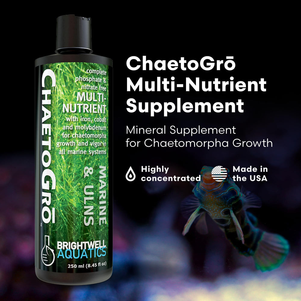 Brightwell Aquatics détail d'étiquette ChaetoGro indiquant éléments essentiels pour algues