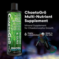 Brightwell Aquatics détail d'étiquette ChaetoGro indiquant éléments essentiels pour algues