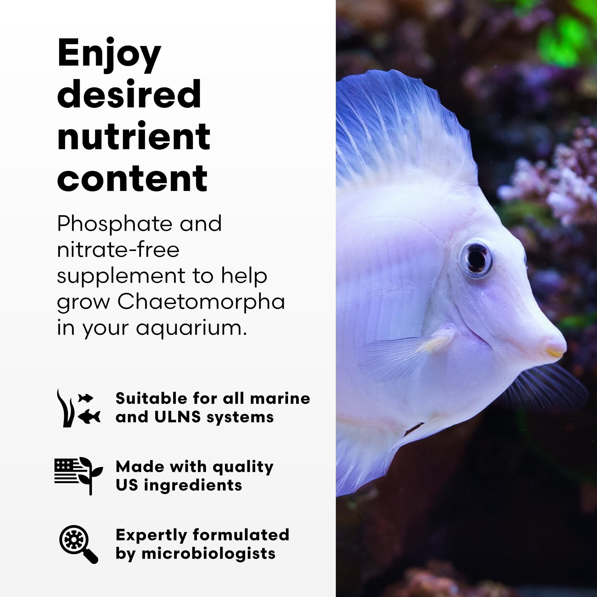 Brightwell Aquatics usage gouttes ChaetoGro pour dosage précis et contrôle facile