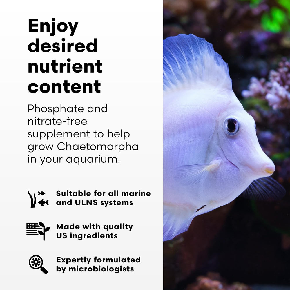 Brightwell Aquatics usage gouttes ChaetoGro pour dosage précis et contrôle facile