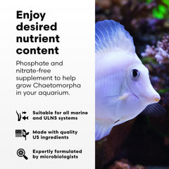 Brightwell Aquatics usage gouttes ChaetoGro pour dosage précis et contrôle facile