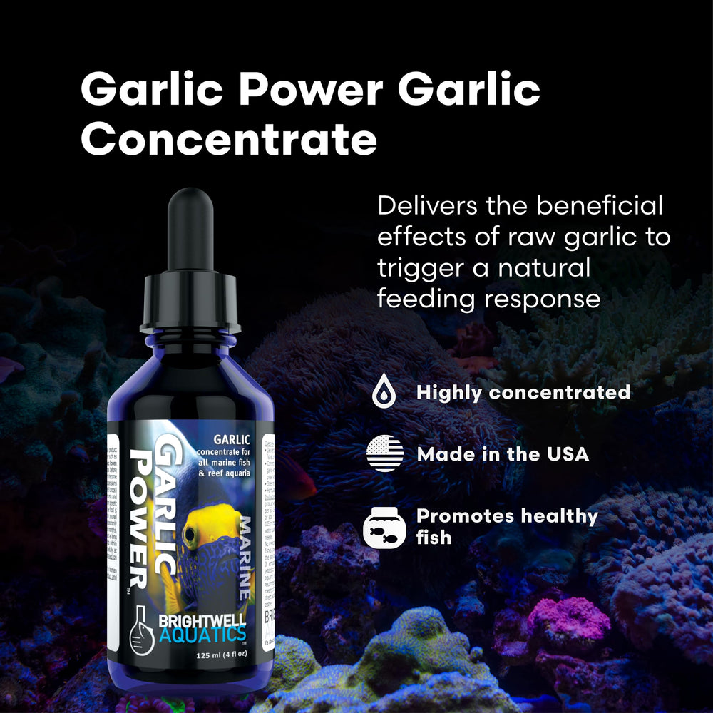 Brightwell Aquatics étiquette du flacon GarlicPower lisible et informative, rassure sur la qualité