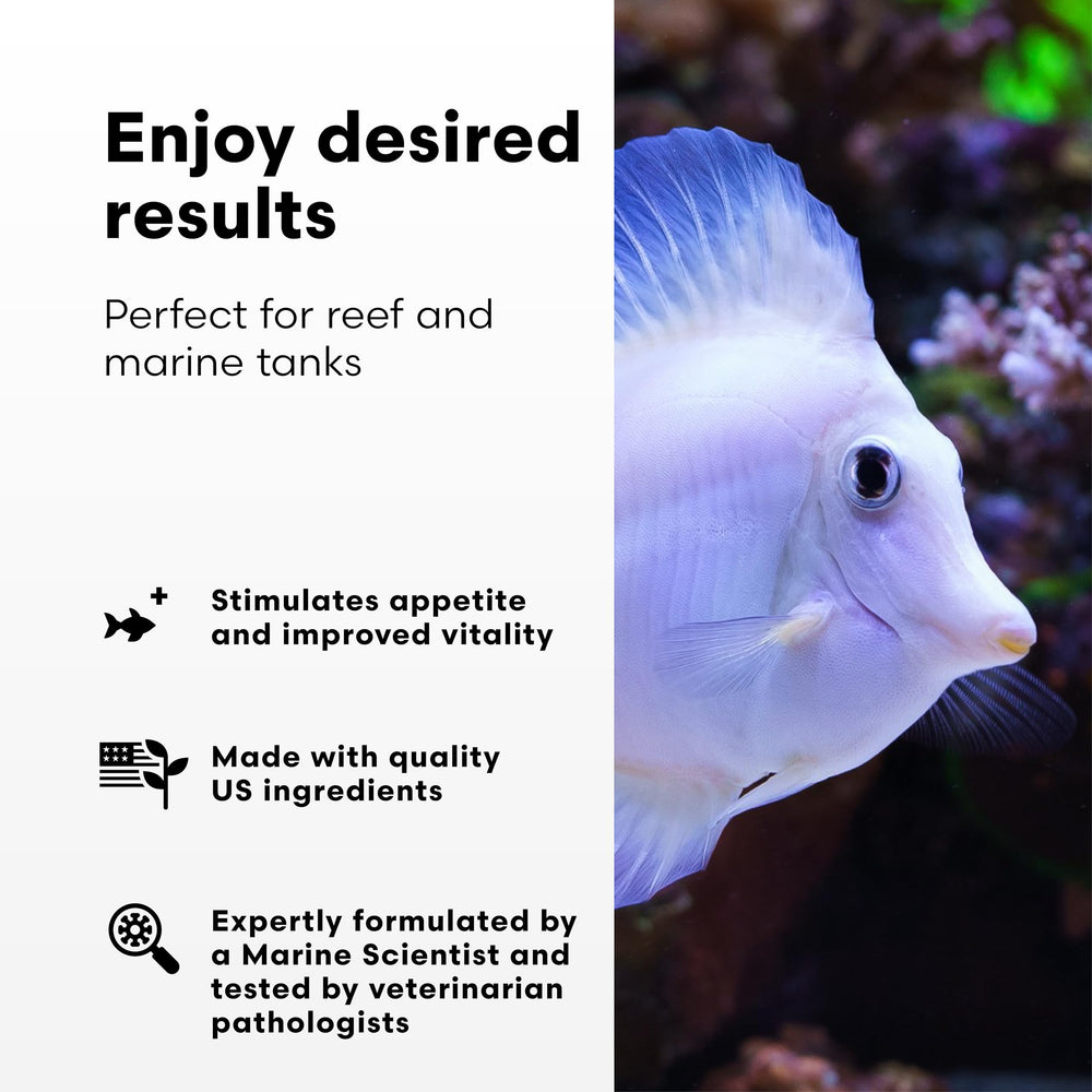 Brightwell Aquatics gouttes de GarlicPower sur une main pour dosage précis, facilite l'application