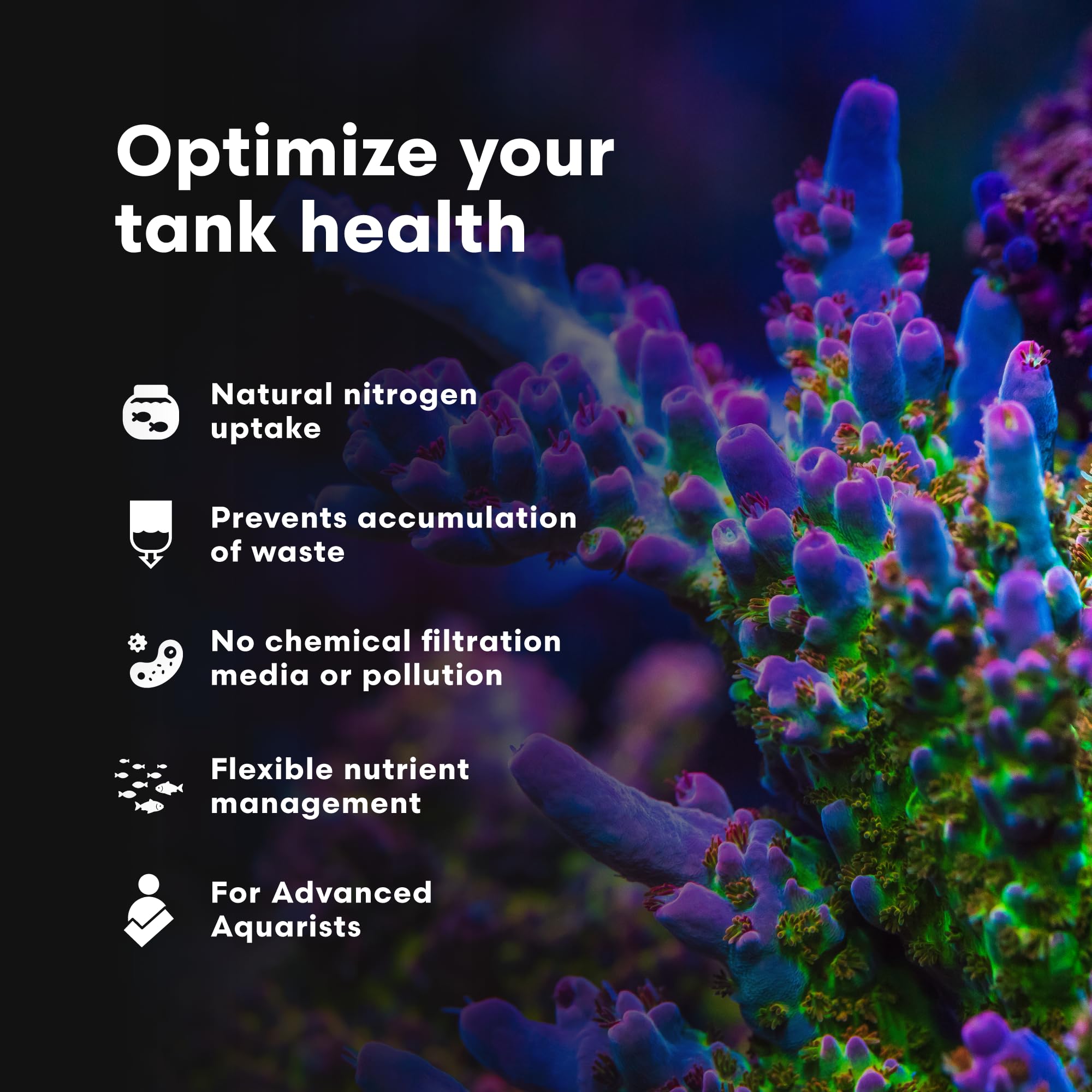 Brightwell Aquatics NēoPhos en application dans un aquarium récifal montrant résultats