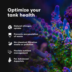 Brightwell Aquatics NēoPhos en application dans un aquarium récifal montrant résultats