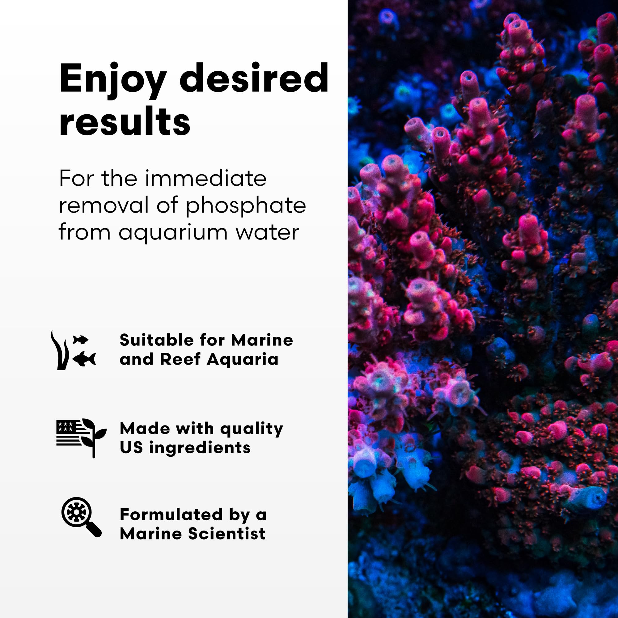 Brightwell Aquatics application Phosphat-E près d'une prise de filtration pour dispersion