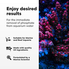 Brightwell Aquatics application Phosphat-E près d'une prise de filtration pour dispersion