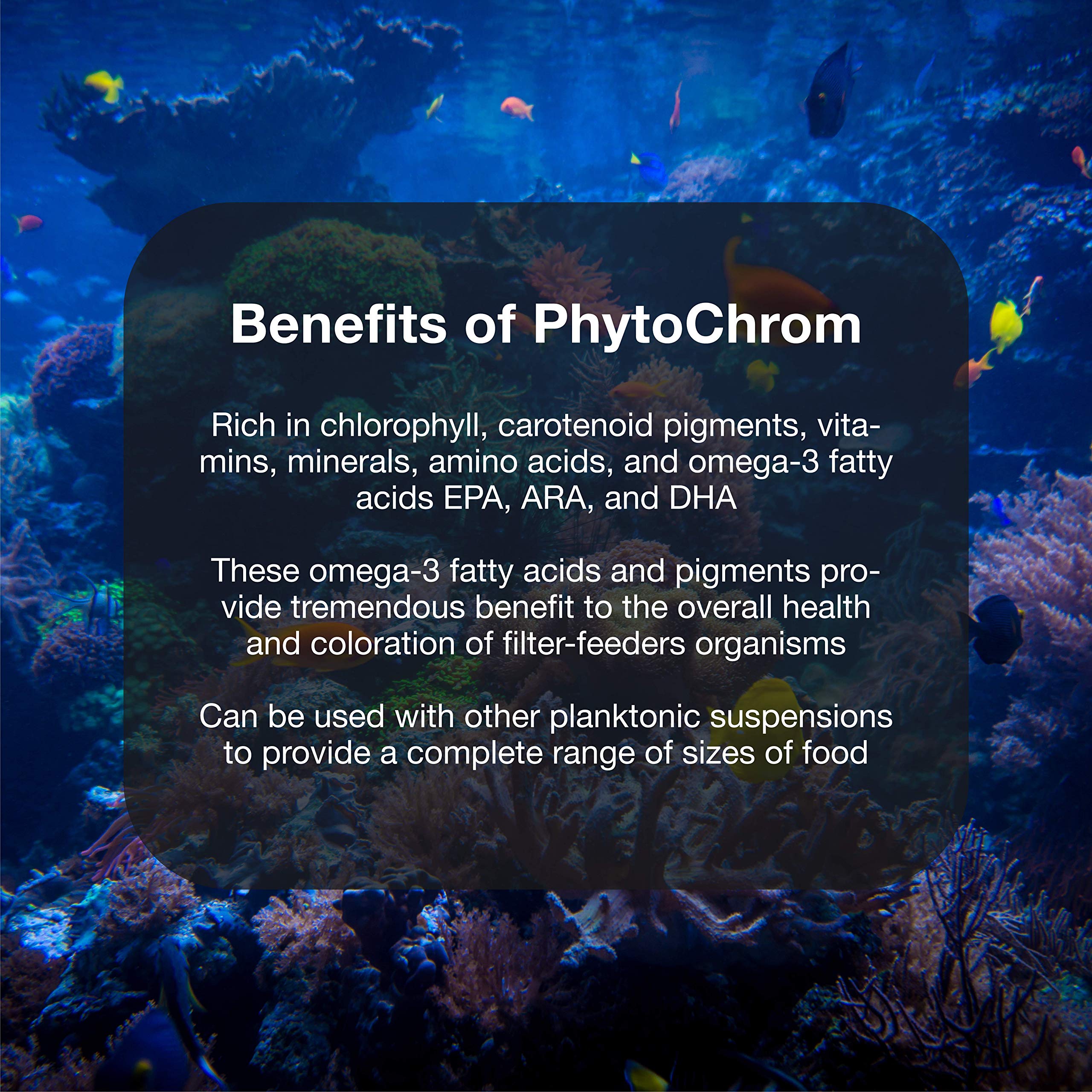 Brightwell Aquatics PhytoChrom en usage dans un aquarium nourrissant coraux visibles