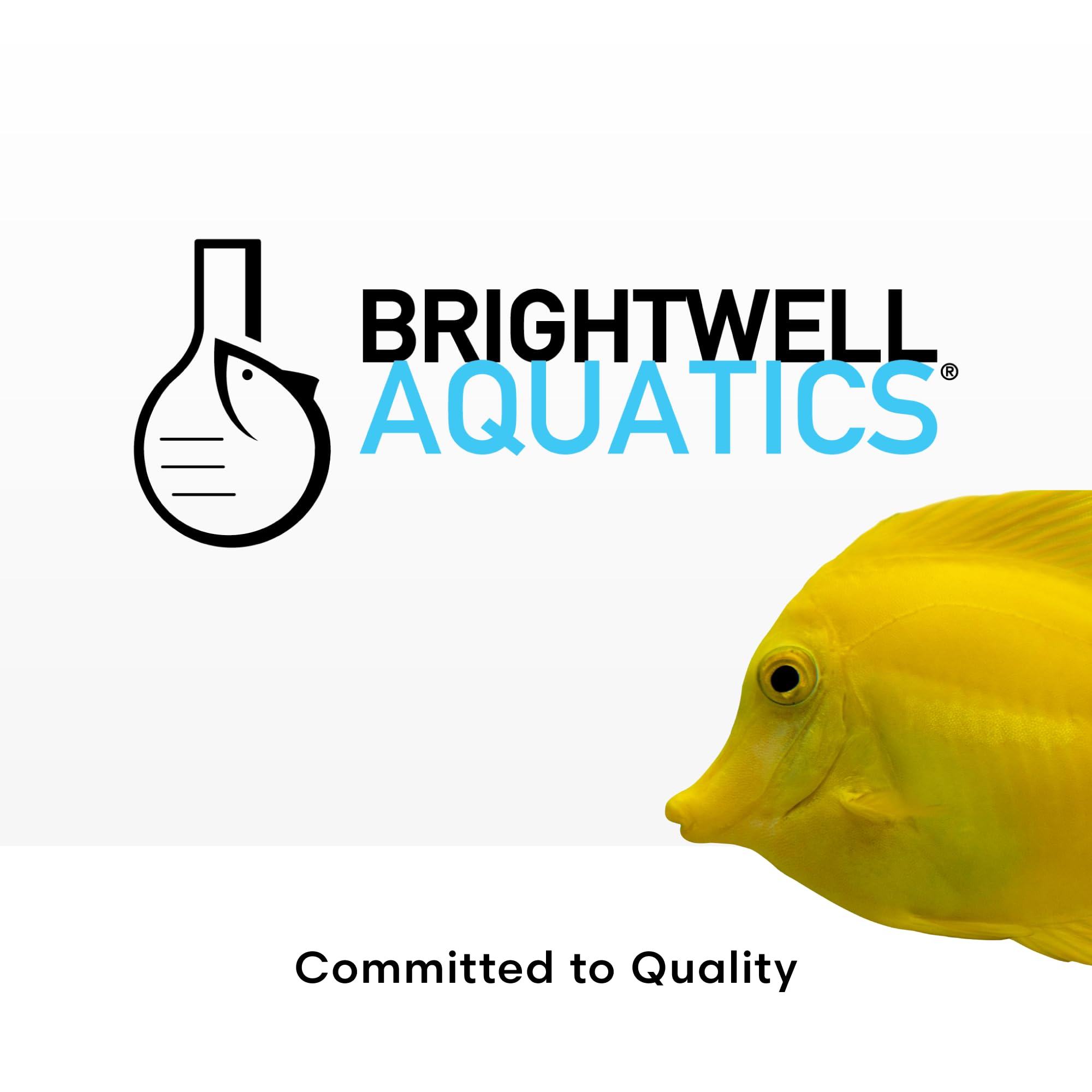 Boîte et flacon Brightwell Restor présentés dans un environnement d’aquariophilie soigné