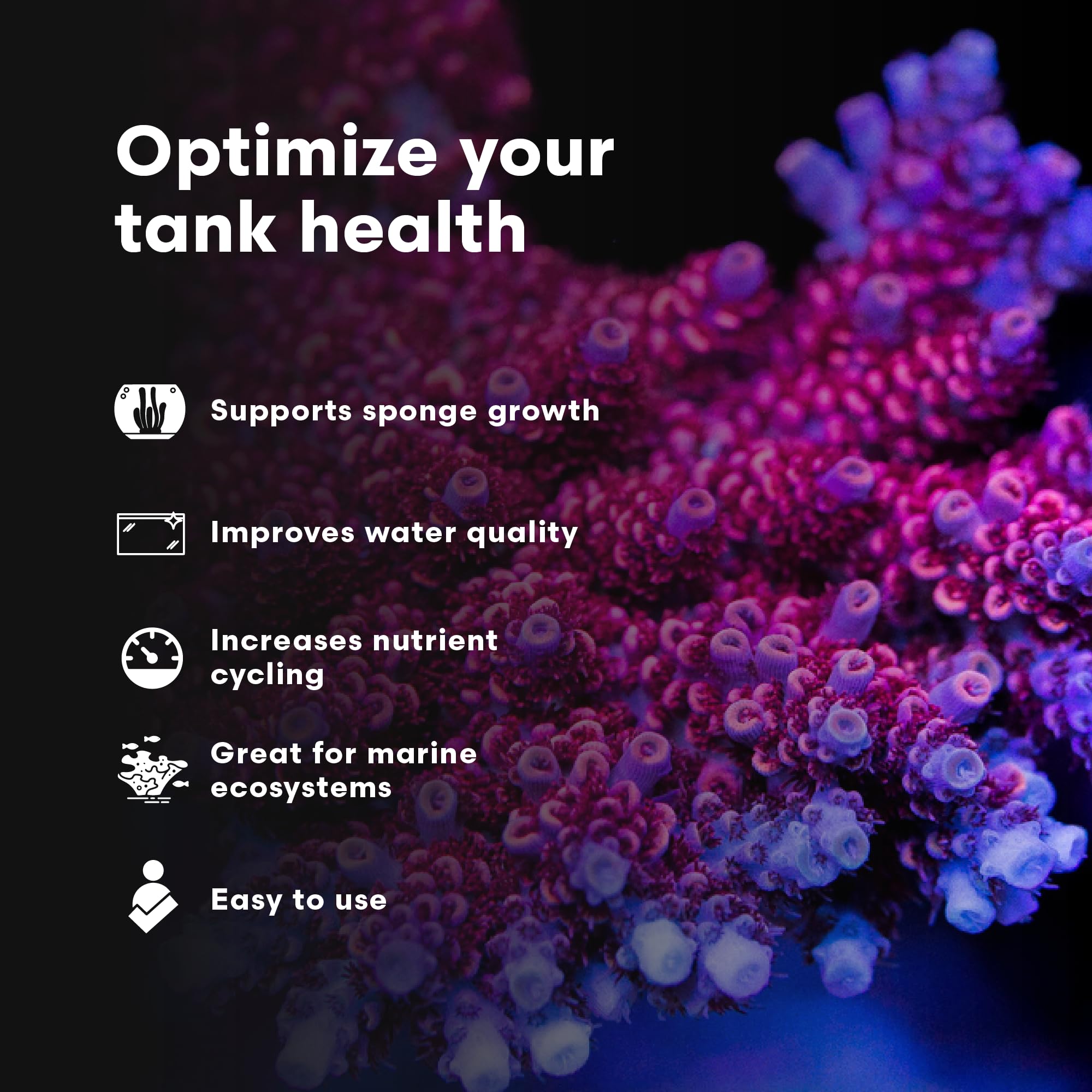 Brightwell Aquatics bouteille SpongExcel près d'un aquarium illustrant usage sécurisé