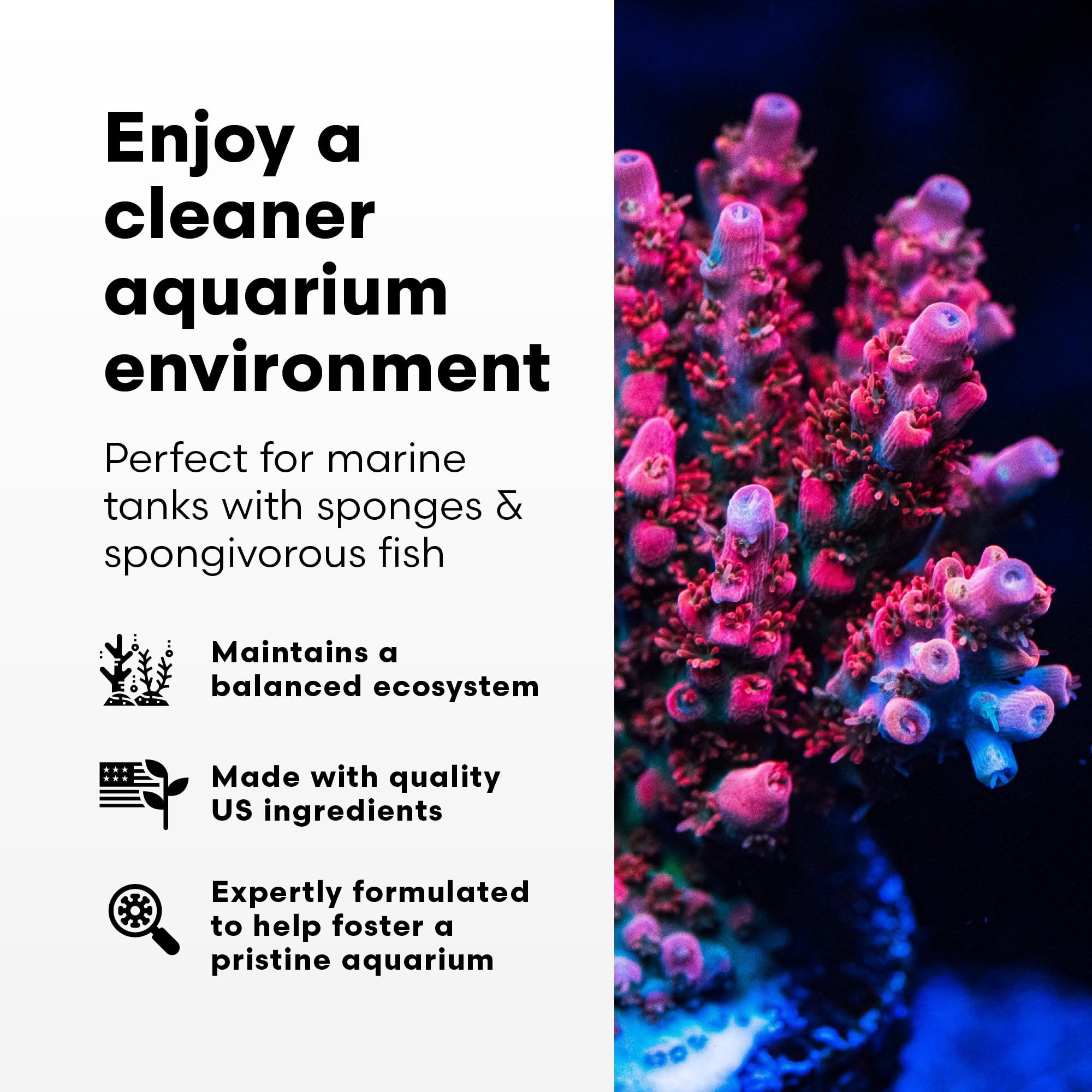 Brightwell Aquatics étiquette SpongExcel gros plan garantissant instructions claires