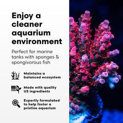 Brightwell Aquatics étiquette SpongExcel gros plan garantissant instructions claires