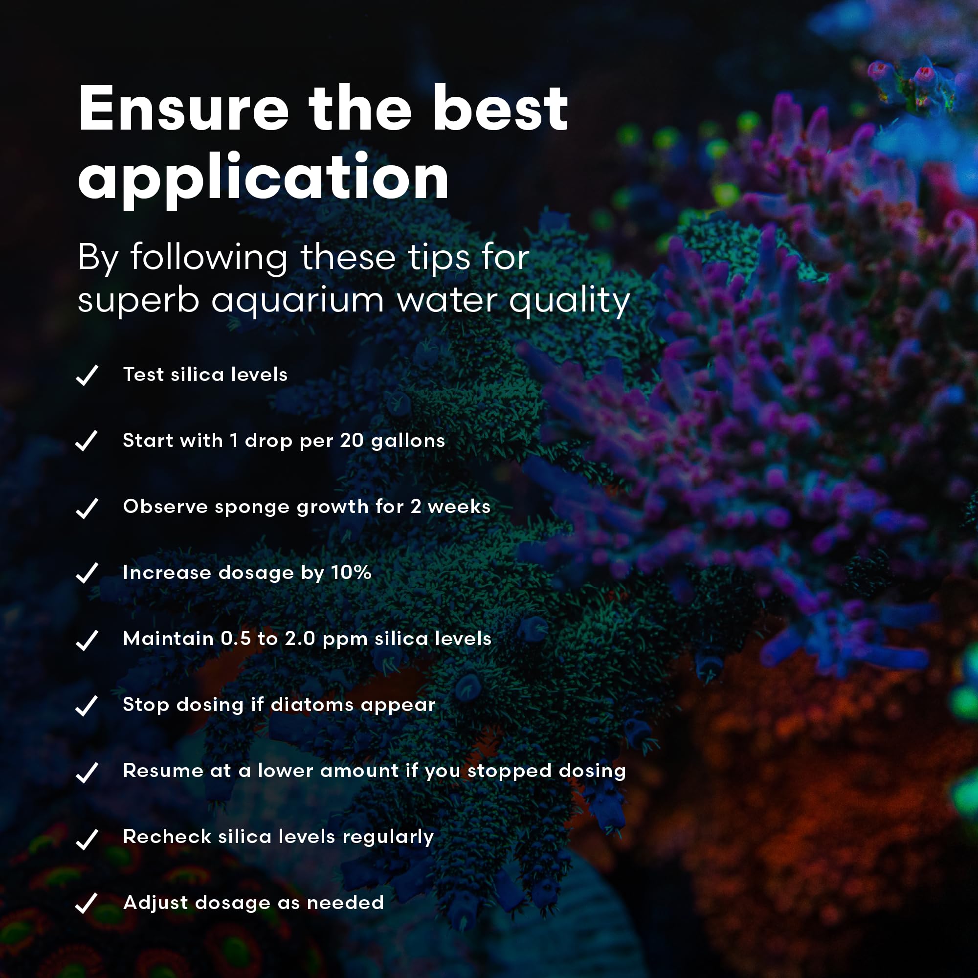 Brightwell Aquatics flacon SpongExcel tenu en main pour évaluer l'échelle