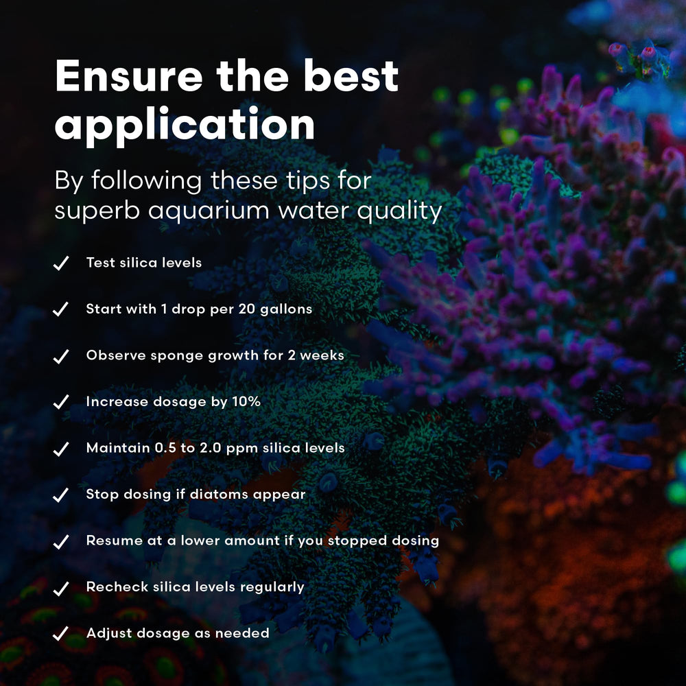 Brightwell Aquatics flacon SpongExcel tenu en main pour évaluer l'échelle