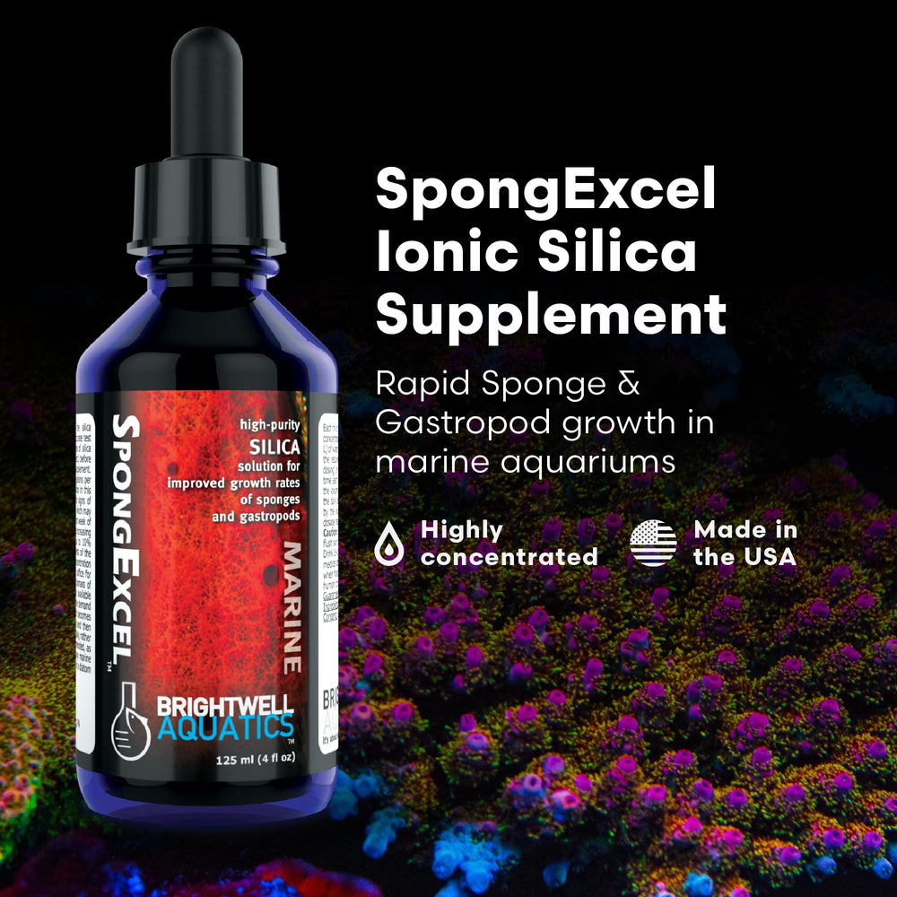 Brightwell Aquatics goutte à goutte SpongExcel mise en œuvre précise pour dosage
