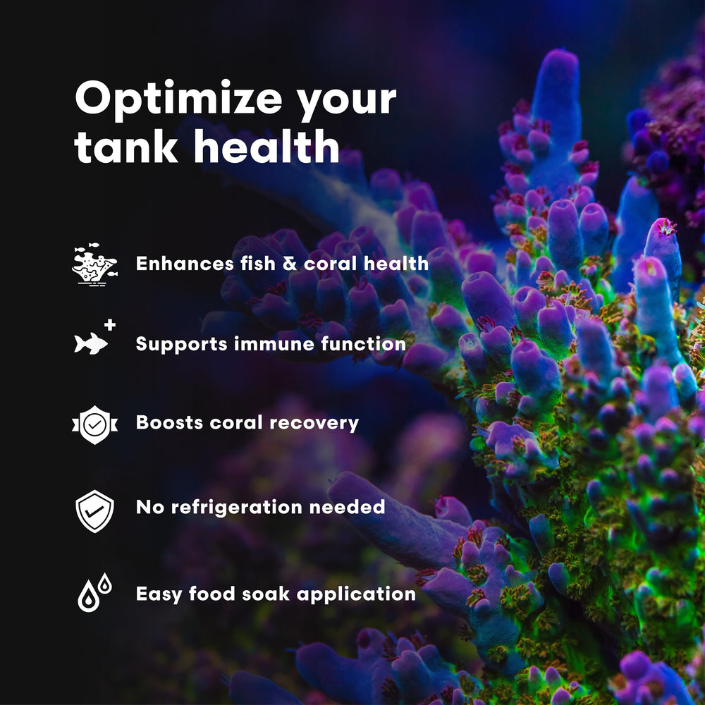 Brightwell Aquatics trempage nourriture avec Vitamarin‑M pour absorption maximale