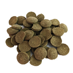 Brine Shrimp Direct galette coulante gros plan montrant texture stable et digestion facilitée