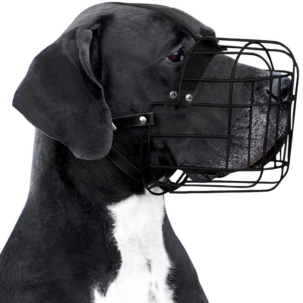 BRONZEDOG muselière face montrant construction robuste et protection