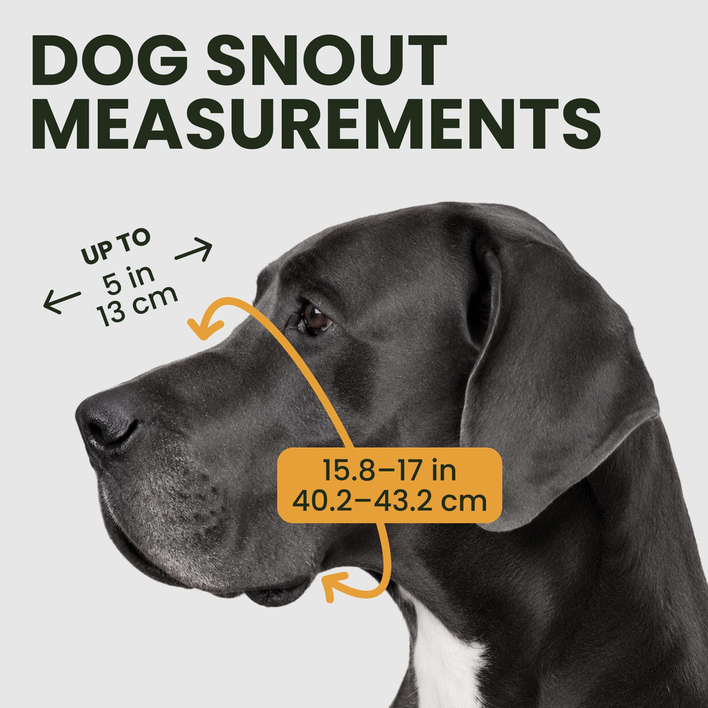 BRONZEDOG muselière profil détaillé montrant ventilation et confort