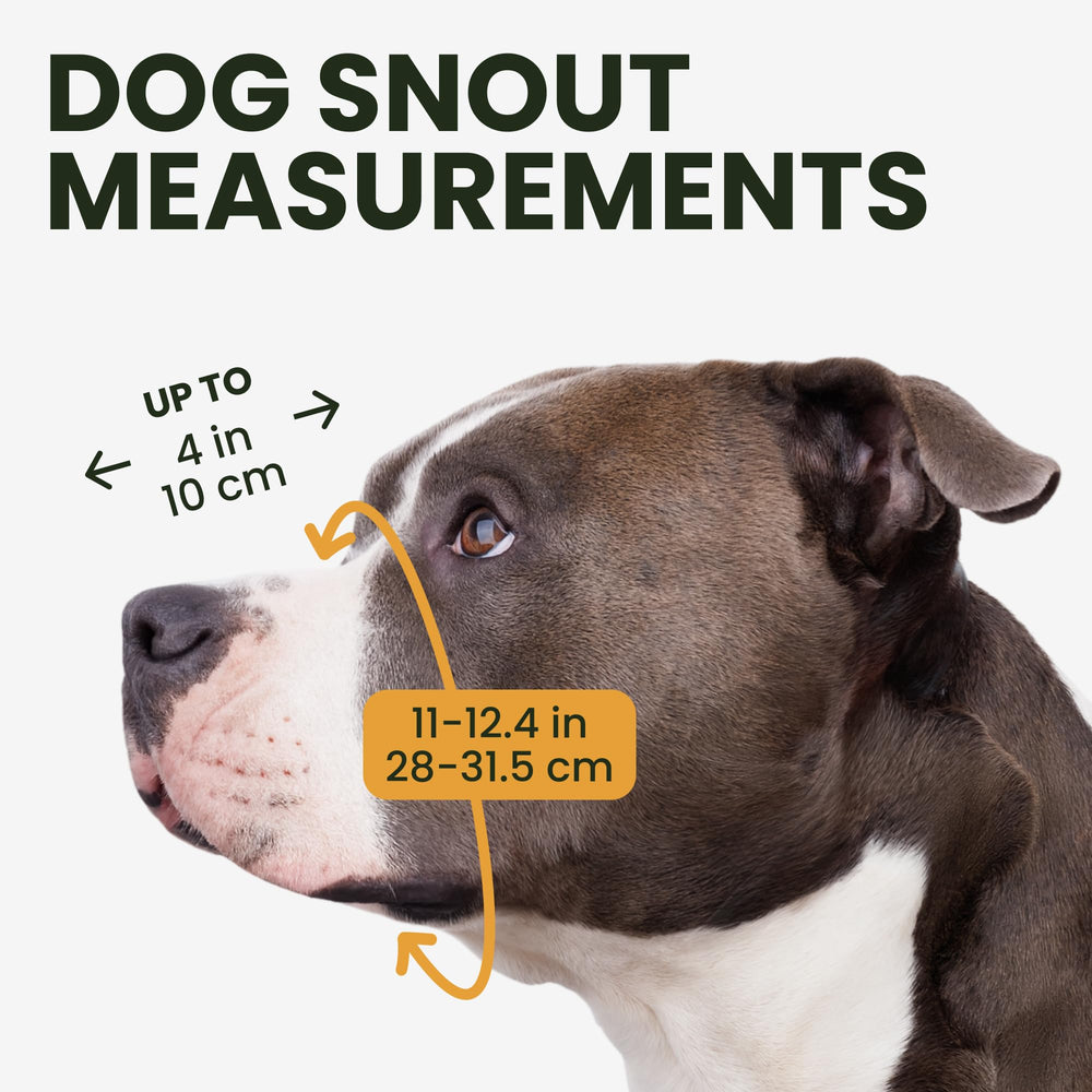 BRONZEDOG gros plan rembourrage néoprène protégeant le nez