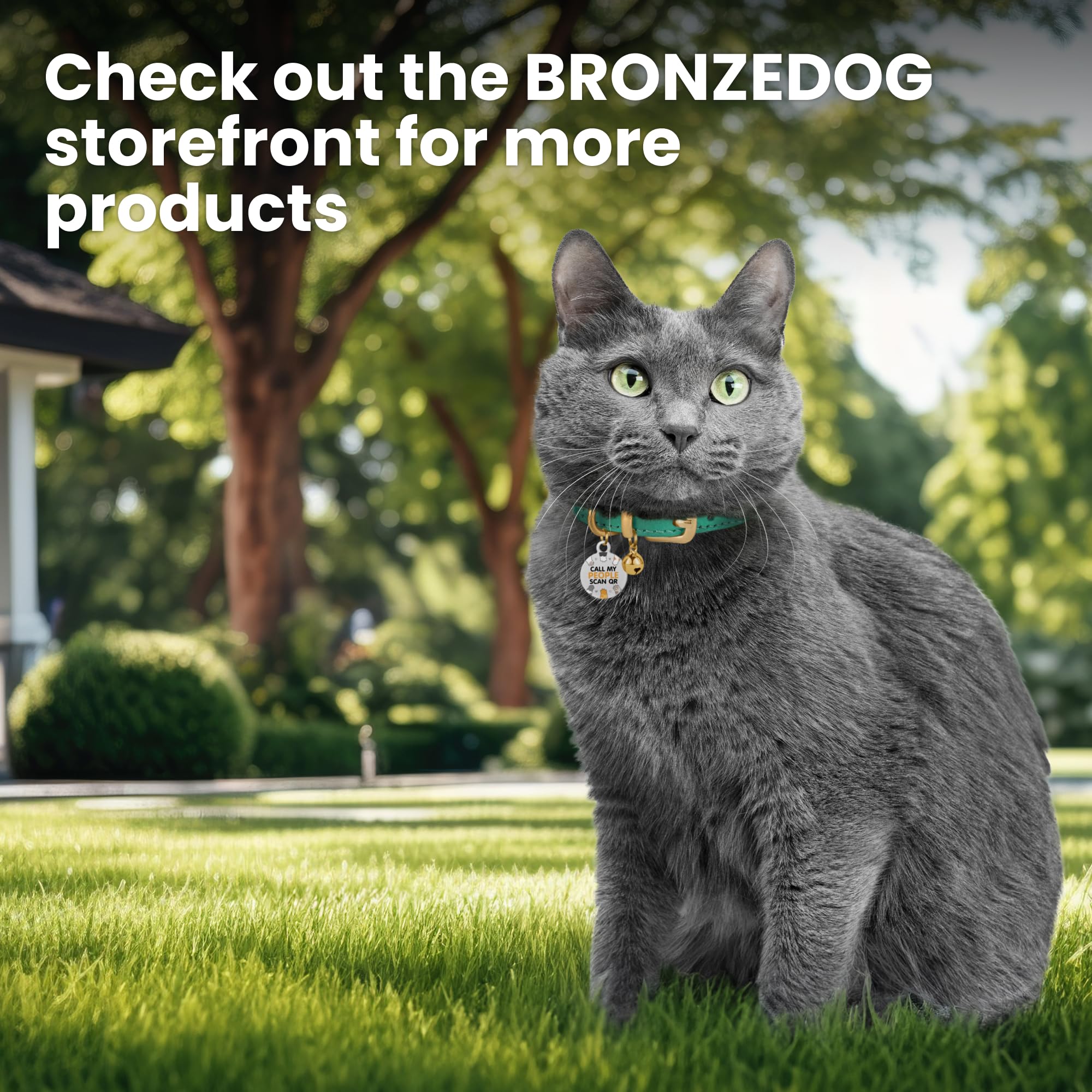 BRONZEDOG comparaison taille 11 pouces illustrant l’échelle réelle