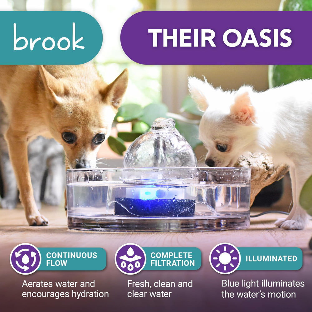 Brook gros plan sur l'écoulement en verre, flux réglable et apaisant