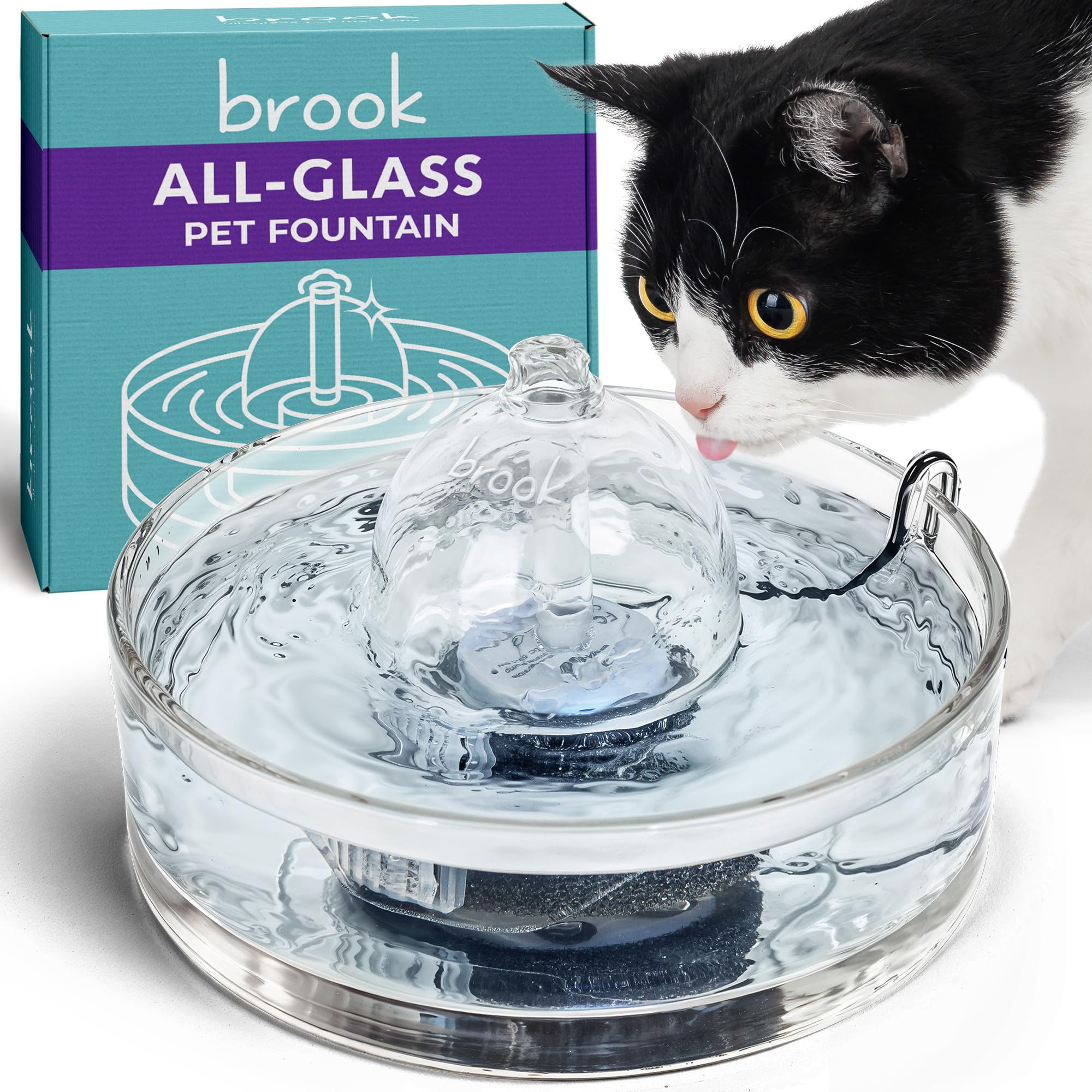 Brook fontaine en verre vue de face, design élégant et hygiène visible
