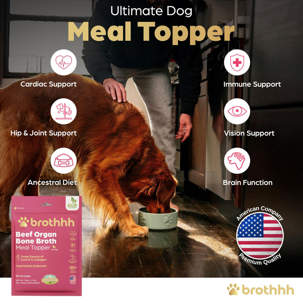 brothhh comparaison portion montrant taille de portion pour chiot et chien adulte