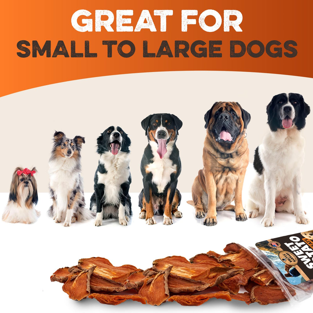 BRUTUS & BARNABY gros plan bords épais mastication durable